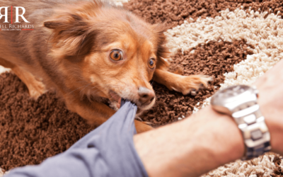 Las Implicaciones Legales De Una Lesion Por Mordedura De Perro En Tu Estado