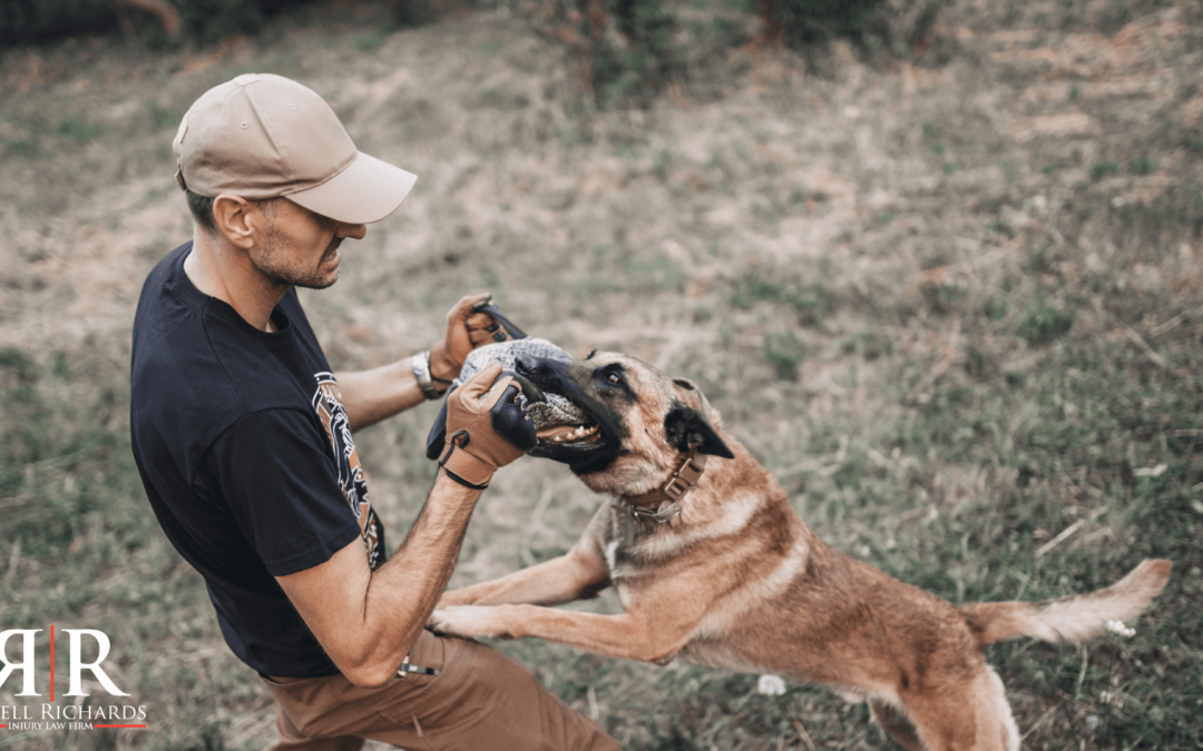 Si Un Perro Te Muerde haz Estas 8 Cosas Ahora Mismo